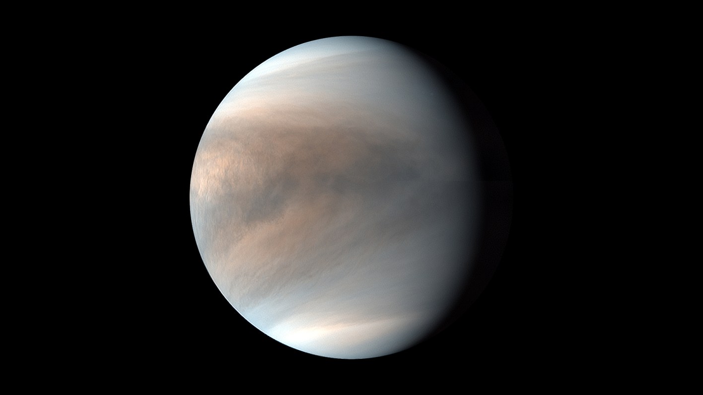 Venera