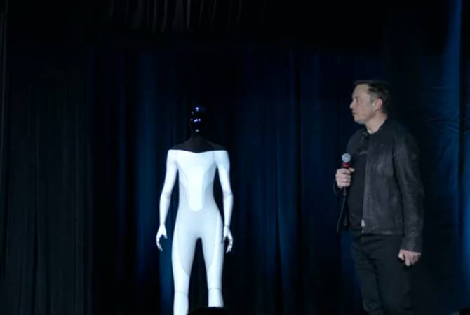 Tesla bot
