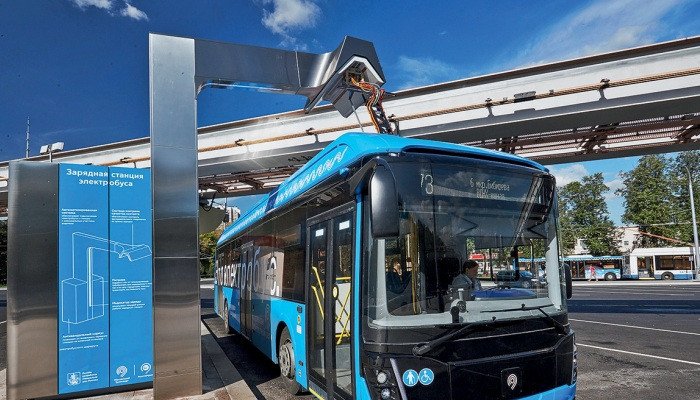 Bus